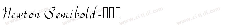 Newton Semibold字体转换